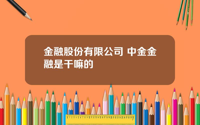 金融股份有限公司 中金金融是干嘛的